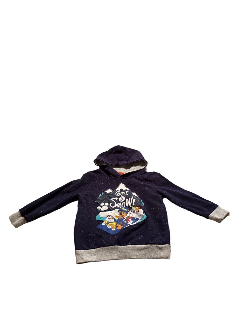 Toddler Blue and Grey Paw Patrol Hoodie Size 4T